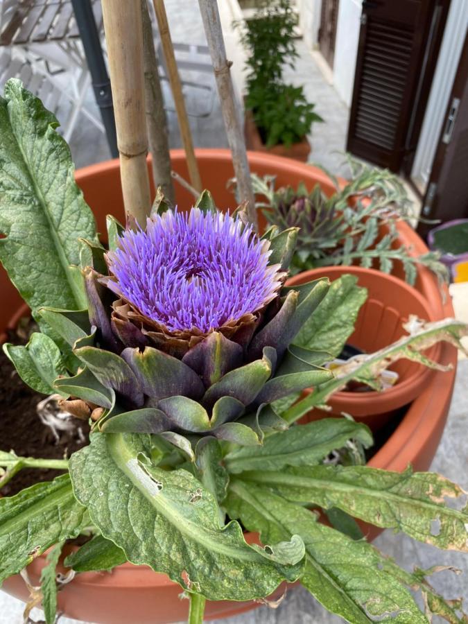 Officinale Rome Apartment, Pineta Sacchetti Exteriér fotografie