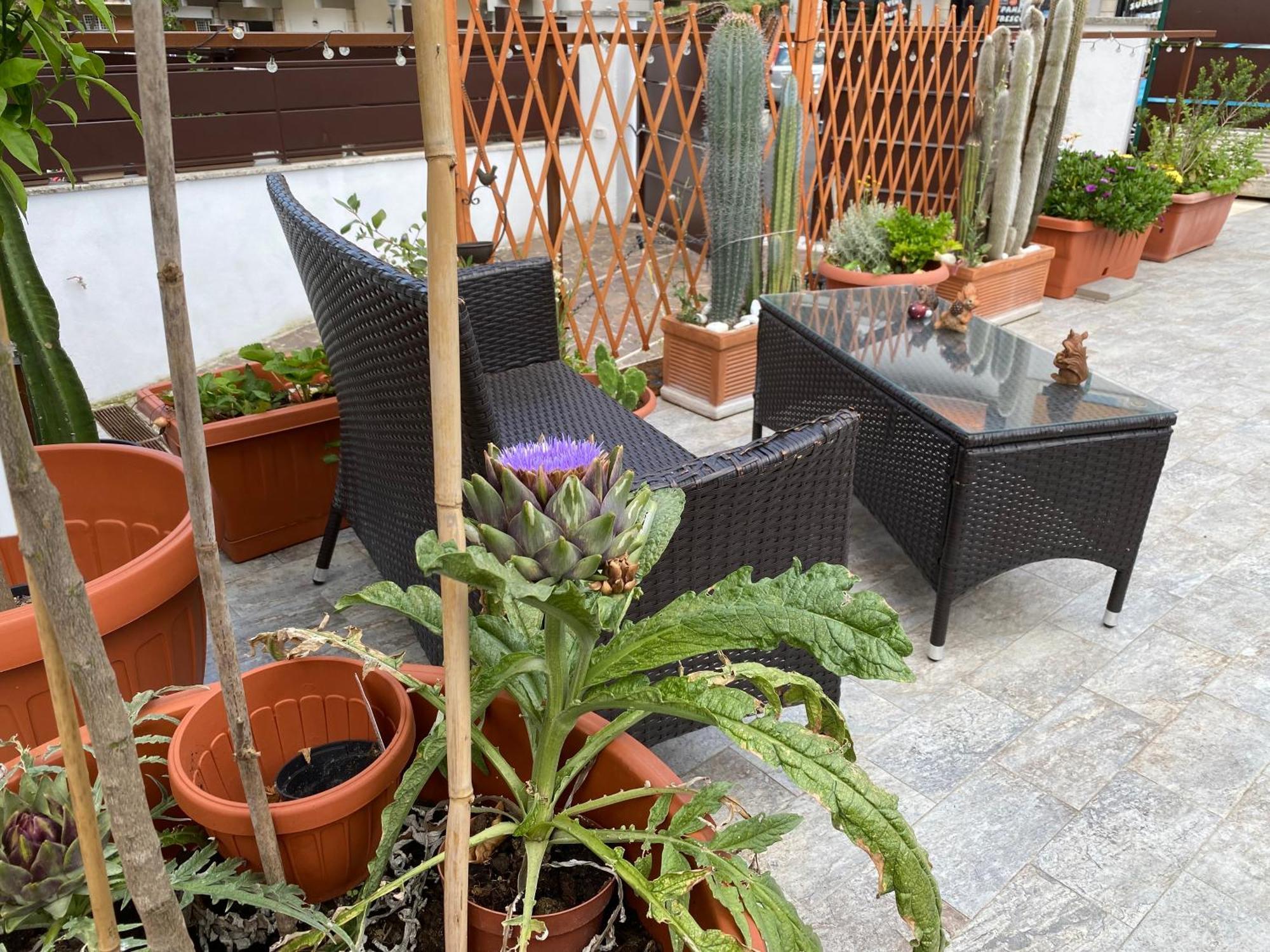 Officinale Rome Apartment, Pineta Sacchetti Exteriér fotografie